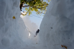 Buffalo, NY - November 20: Frank Barillo  clears his sidewalk after an intense lake-effect snowstorm that impacted the area on November 20, 2022 in Buffalo, New York. Around Buffalo and the surrounding suburbs, the snowstorm resulted in up to six feet of accumulation  and has been attributed to at least three deaths. The band of snow is expected to weaken overnight with milder temperatures expected.   (Photo by John Normile/Getty Images)