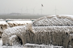 599614373JN003_weather